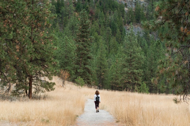 Woman hiking in a forest